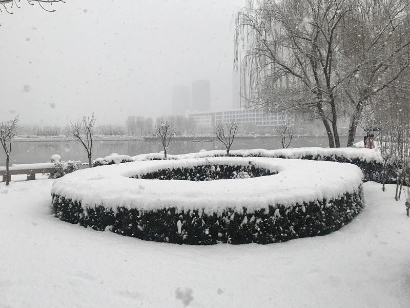 雪景 (12).jpg